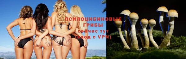 эйфоретик Абаза