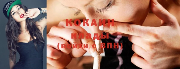 сатива Абинск