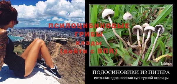 эйфоретик Абаза