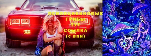 сатива Абинск