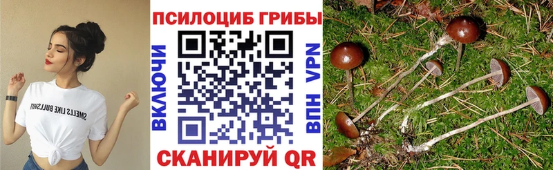 хочу   Псков  Псилоцибиновые грибы Magic Shrooms 